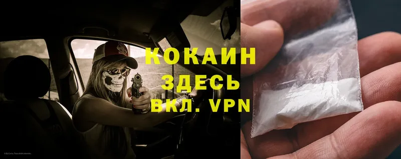 Cocaine 98%  где продают   Тара 